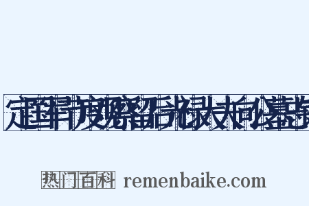 定国军节度观察留后光禄大夫向公墓志铭是什么意思的图片